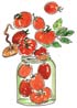Tomatoes