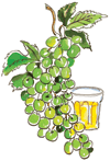 Grapes