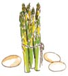 Asparagus
